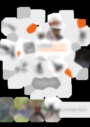 Fr1