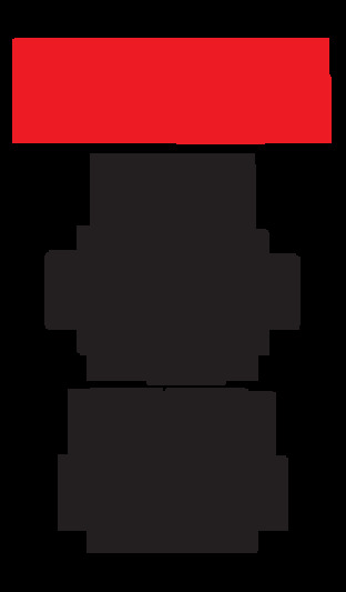 DTC 395
