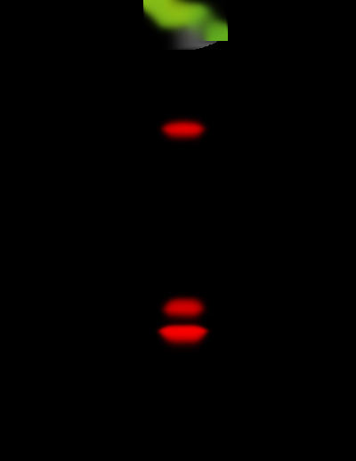 M1001