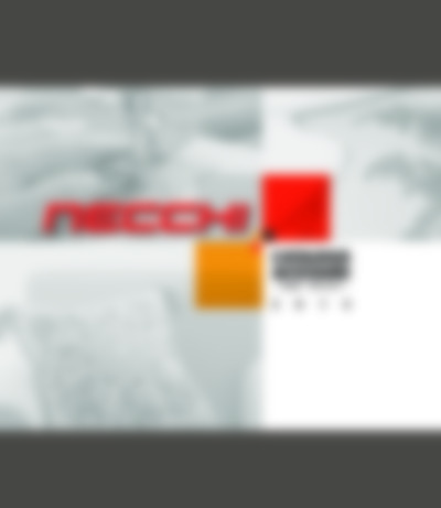 Necchi 208