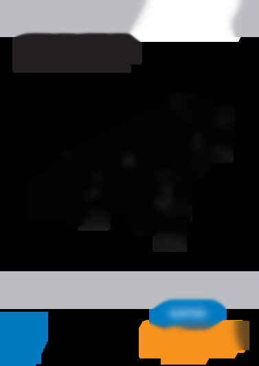 CDM 203