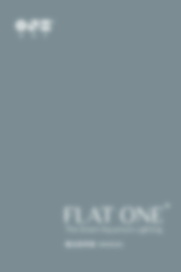 Flat One +
