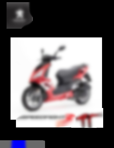 PEUGEOT SPEEDFIGHT 3 RS