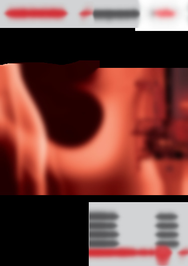 RMAS 24 E