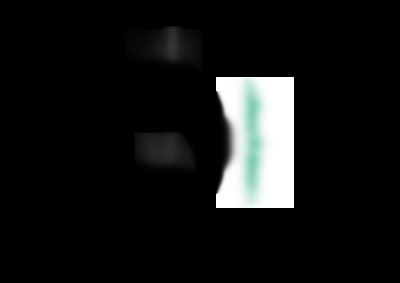 WP 6