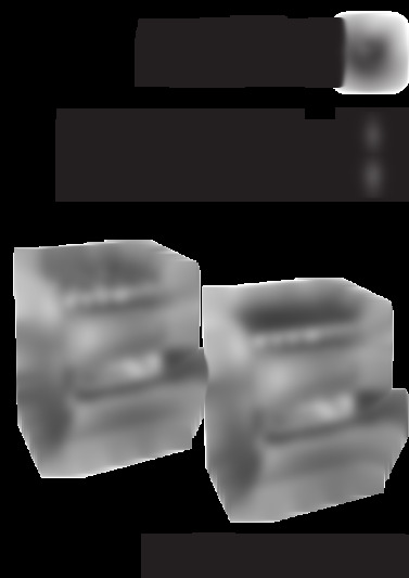 RIPLE 10G