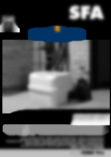 R300