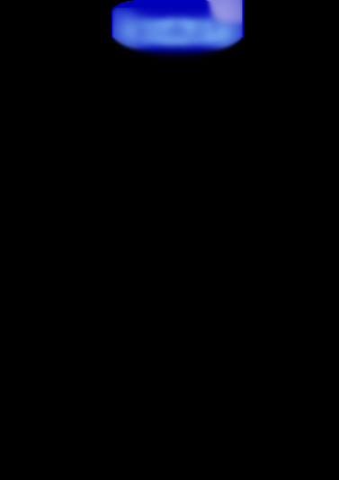 SCHAUDT