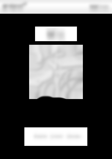 T753 S(IX)