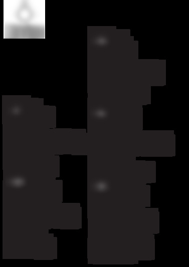ci9611