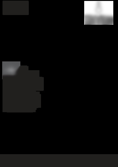 cp 956 g