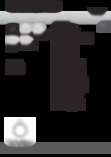 fp e6.1g