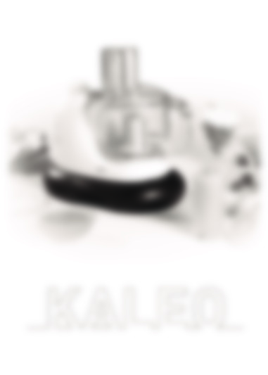 KALEO