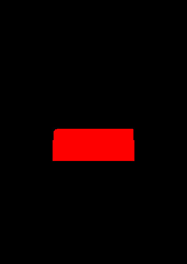 RAPID 12-19
