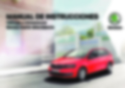 Rapid Spaceback 2019