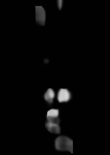 NWZ-E384