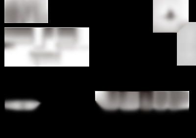 PS2