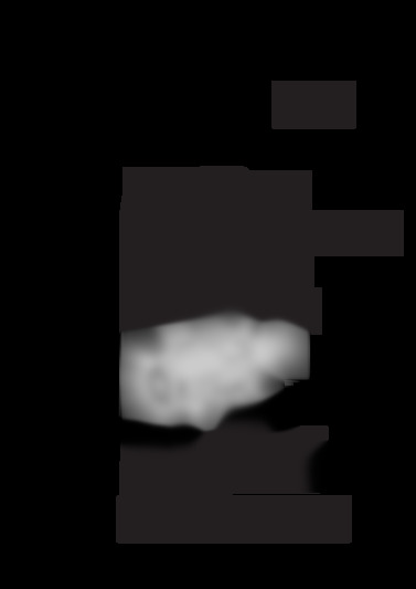 CCD-TR501E