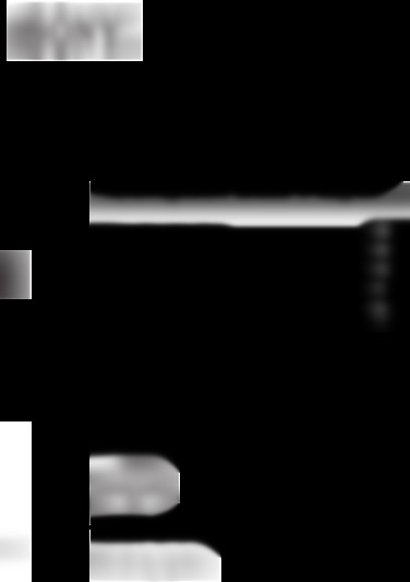 CDX-GT315C