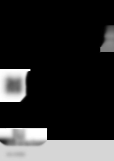 HVL-F45RM