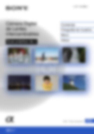 sony nex 7