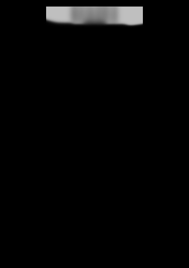 Technoline WS 9611-IT