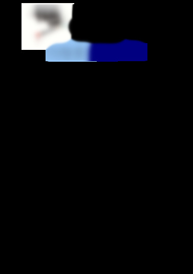 303 plus v4