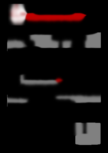 Testament olographe
