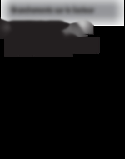 RR 600