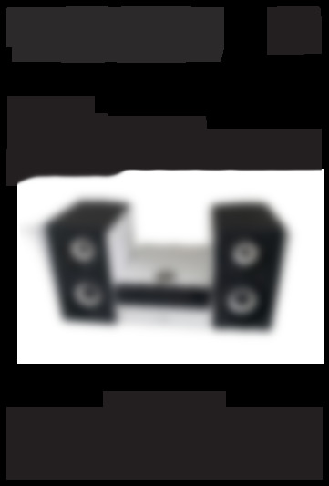 mic301bt