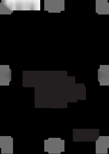 SA53