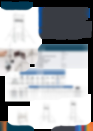 Speedy 3 Export