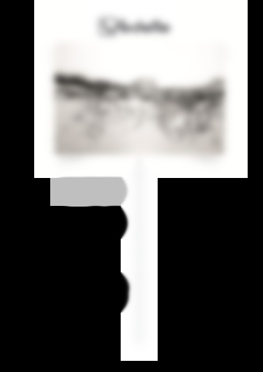 VDP137LW