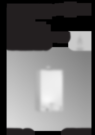 VITODENS 050-W