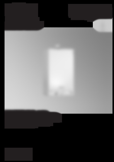 viessmann
