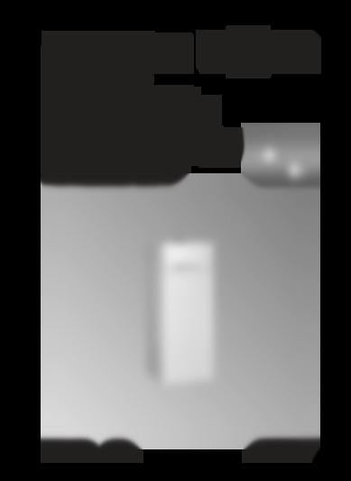 vitodens 333