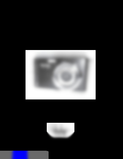 ViviCam S325