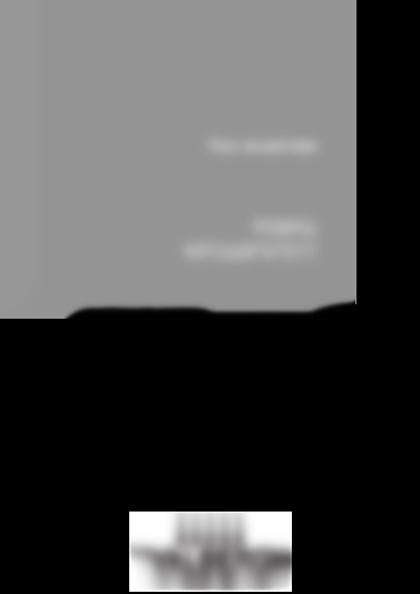 WB536