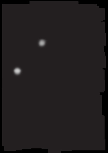 WSC5533A+X