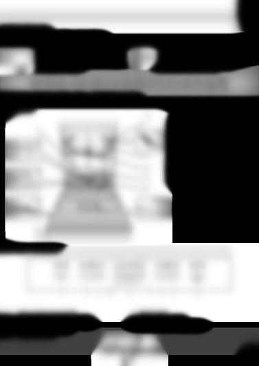 WFE 2B19