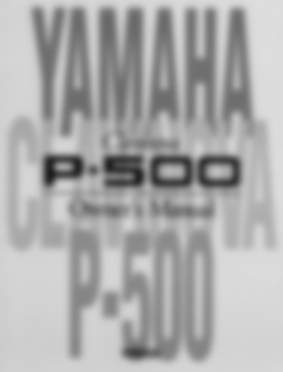 P 500