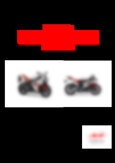 R1 2009