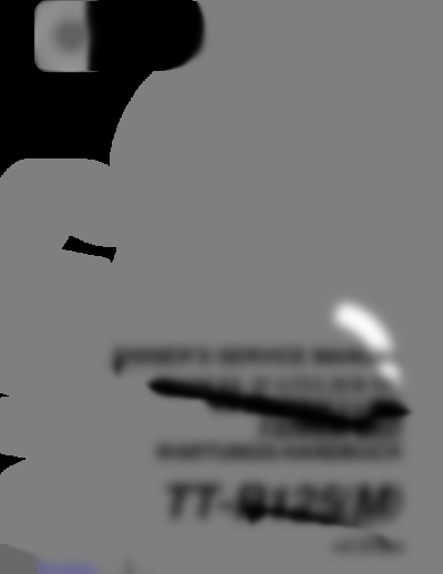 TTR-125