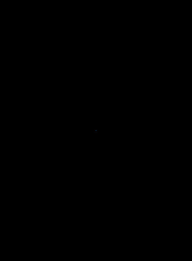 Tmax 530 2016