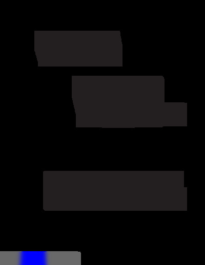 YP250