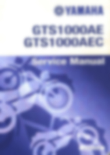gts1000