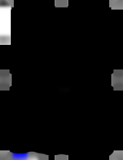 ZWW1202