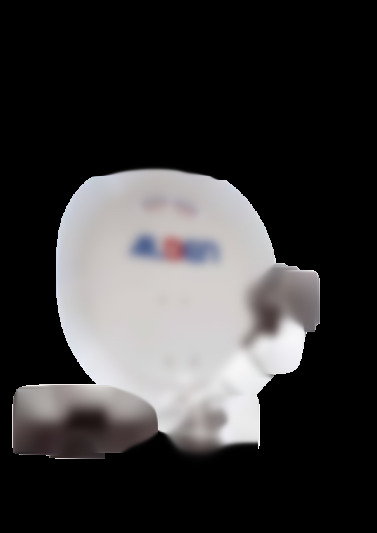 satlight65