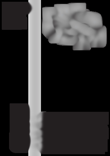 MT 98