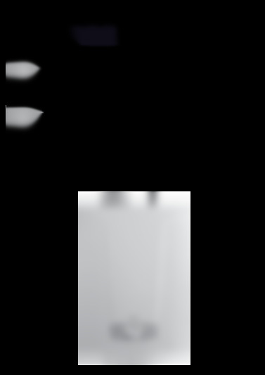 Platinum duo plus